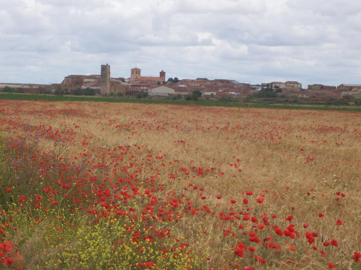 Quinta Del Canal Pensionat Tamariz de Campos Exteriör bild